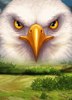 Eagles Gold